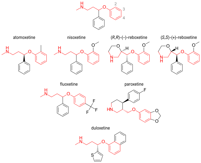 Aryloxypropanamine scaffold