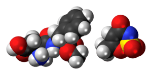 Space-filling models of the component ions of aspartame-acesulfame salt