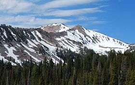 A photo of the north side of Baker Peak viewed from the Baker Lake Trail.