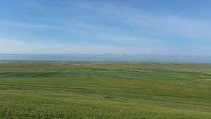 Bayan Baluk Reserve, with cutoff lakes of the Kaidu River