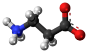 Ball-and-stick model of the β-alanine molecule as a zwitterion