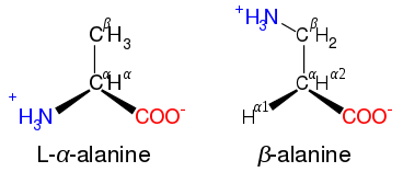 Diagrammatic comparison of the structures of β-alanine and α-alanine