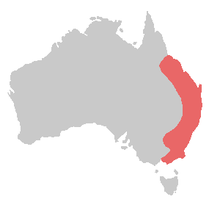 =Eastern coast of Australia except Queensland