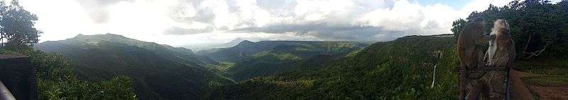 Panorama of Black River Gorges National Park.