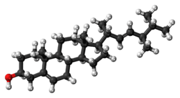 Ball-and-stick model of brassicasterol