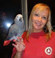 Brianne Siddall is in a red shirt. She is holding an African grey parrot