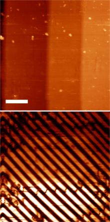 Piezoresponse Force Microscopy image of BaTiO3 domains