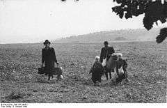 Two adults and two children carrying suitcases across an open field