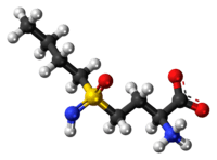 Ball-and-stick model of buthionine sulfoximine as a zwitterion