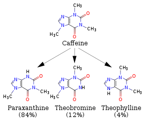 A diagram featuring 4 skeletal chemical formulas. Top (caffeine) relates to similar compounds paraxanthine, theobromine and theophylline.