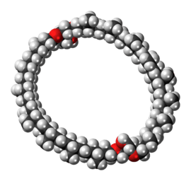 Space-filling model of the caldarchaeol molecule