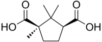 Skeletal formula of camphoric acid