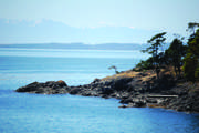 view of Salish Sea