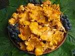  A collection of golden colored mushrooms with irregularly shaped caps on a plate.