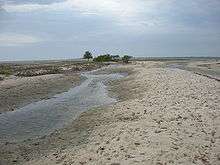 Two streams cutting across the sand with some vegetation on the left