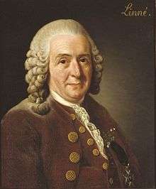 Portrait of Linnaeus in 1775