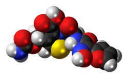 Ball-and-stick model of the cefuroxime molecule