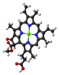 Chlorophyll c2 molecule