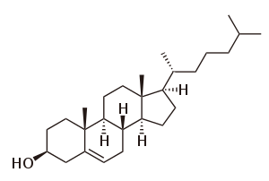 Chemical structure of cholesterol