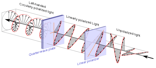 Image is well described in article