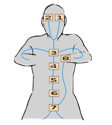 diagram of chakra gates in the human body