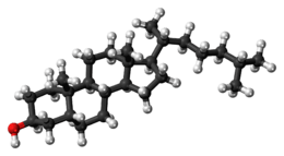 Ball-and-stick model of the coprostanol molecule