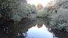 Pond in Cranham Brickfields