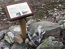 still small pieses of debris at the crash site