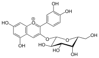 Structure of cyanidin 3-galactoside