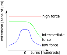 Three schematic torsion-extension curves of a DNA molecule at different stretching forces. For the lowest force, the extension shrinks for both, positive and negative torsion and the curve is symmetric for the positive and negative torsion branch. For intermediate forces, the extension diminishes only for positive turns and for the highest forces it stays constant. The number of turns is in the order of hundreds, and the extension is typically in the order of micrometers.