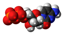 Space-filling model of the deoxycytidine diphosphate molecule as an anion (3- charge)