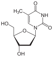 Skeletal formula of thymidine