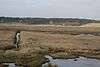 Minsmere-Walberswick Heaths and Marshes