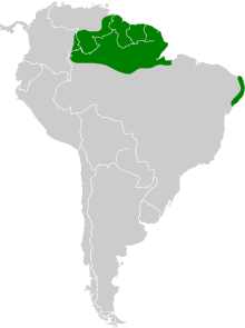 Map of South America with northern Brazil, French Guiana, Guyana, Suriname, southern Venezuela, and the eastern tip of Brazil highlighted in green