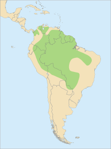 Suriname, Guyana, French Guiana, along the Panama/Colombia border, and western Brazil stretching over into Paraguay, Bolivia, Peru, Colombia, and Venezuela