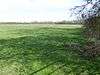 Dungee Corner Meadow