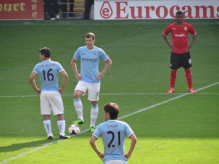 Edin Džeko, pictured in Manchester City shirt, began his career at Željo.