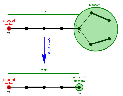 Example of a blossom