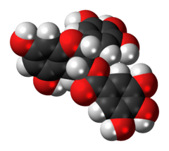 Space-filling model of the epigallocatechin gallate molecule