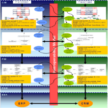 Example of Reference Model for Model Driven Interoperability.