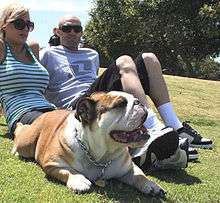 Couple sitting on the lawn with a pet British Bulldog