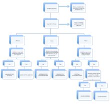 Flowchart for Assessment of Visual Agnosias.