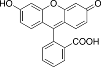 Skeletal formula