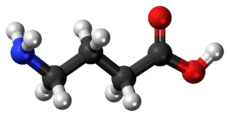 GABA molecule