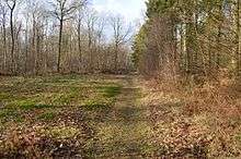 Gamlingay Wood