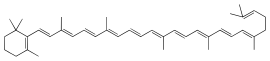 Skeletal formula of γ-carotene