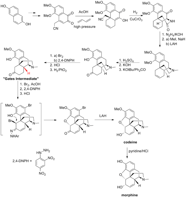 The Bates synthesis