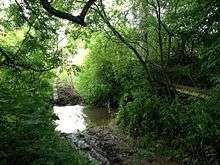 Buried in woodland, lit by dappled sunlight, a muddy stream crosses the path, forming a small ford.  The path is muddy and shows tracks of vehicle wheels.