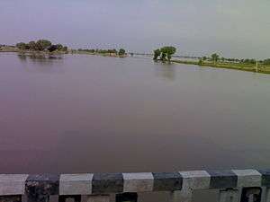 Ghaggar river in September, near Anoopgarh, Rajasthan