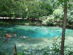 swimmers in Ginnie Springs